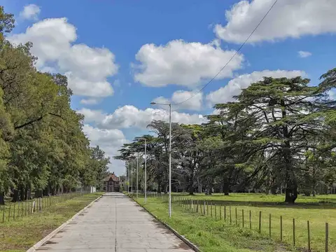 Terreno en Venta en Monte Grande, USD 52.000