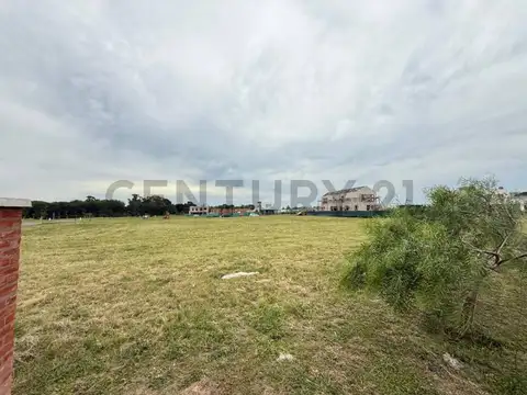 LOTE 146 - Villaga Plaza - INTERNO