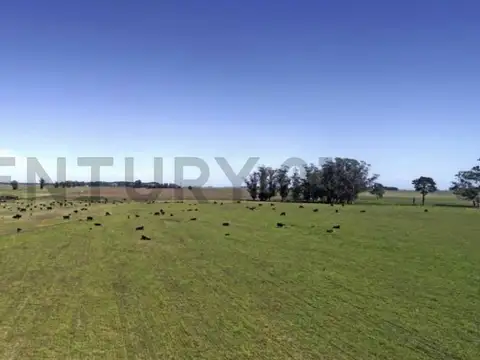 VENTA CAMPO