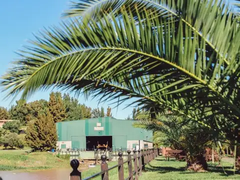 Terreno en Venta en Fighiera, USD 70.000