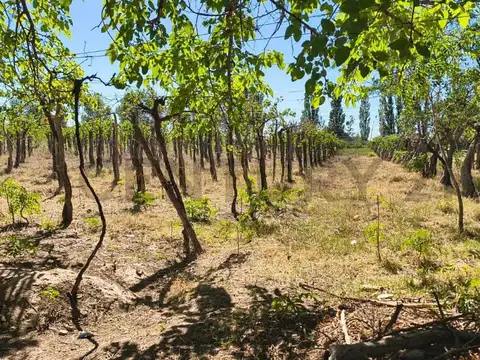 Santa Marina , Piso 0