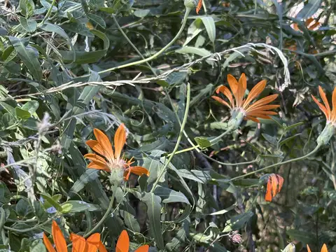 Reserva Baja Lote C22