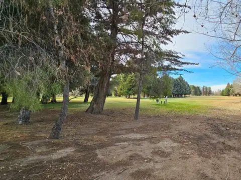 Terreno en Venta 10  mts Frente