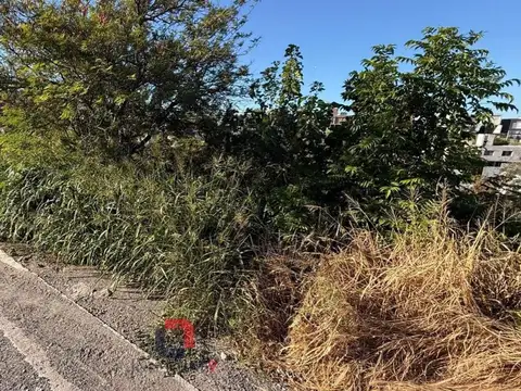 Lote en Cuesta Colorada