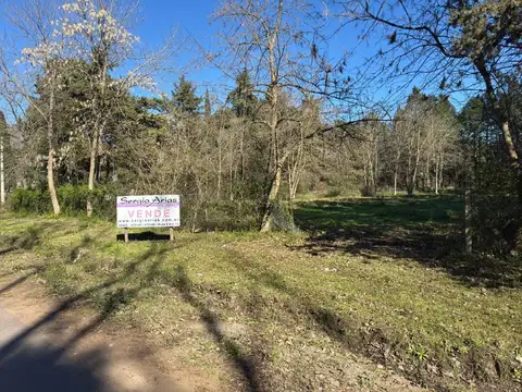 Hermoso lote arbolado en El Remanso