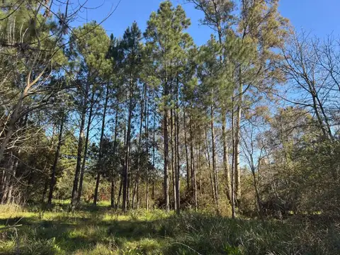 Hermoso lote arbolado en El Remanso