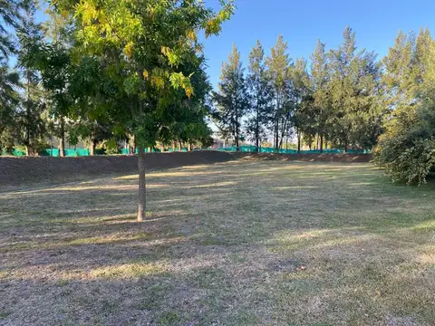 Las Acacias de Hudson