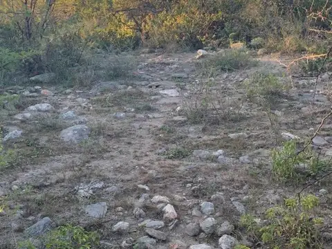 La Travesia