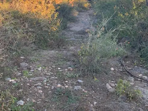Terreno en Venta de 5200,0 m2