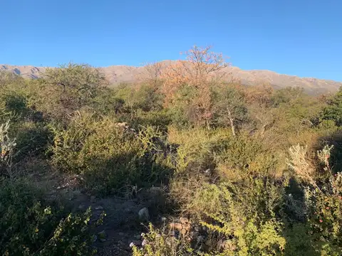Terreno en Venta 100  mts Fondo