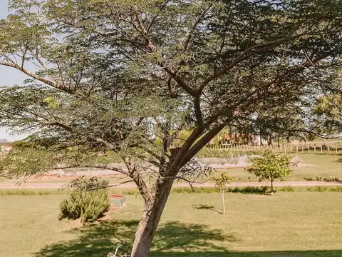 Terreno en Venta de 5700,0 m2