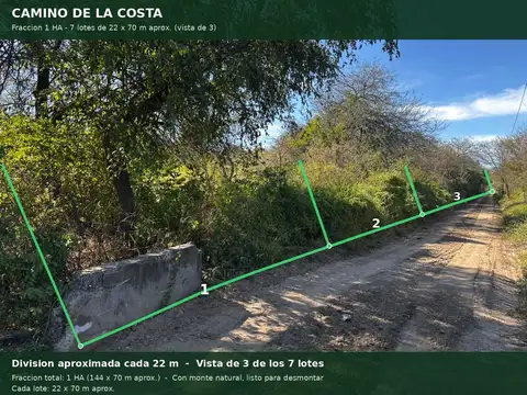 Calle Publica S/N