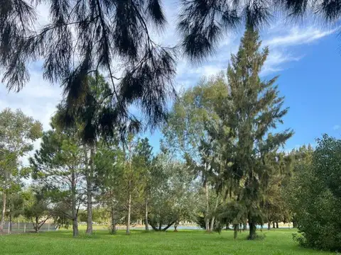 Miralagos lote con fondo a la laguna principal. Tiene escritura