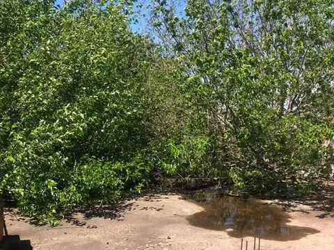 Terreno en Venta de 329,0 m2