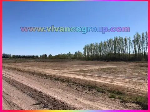 PROPIEDADES RURALES - CHACRA - ALLEN