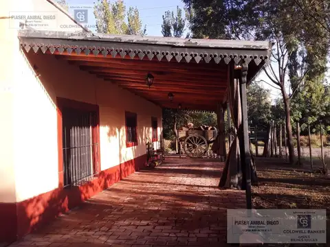 Finca de 8 ha. + Casona de Campo