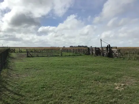 Campo en Venta 