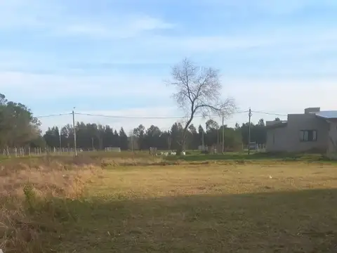 Terreno en Venta 12  mts Frente