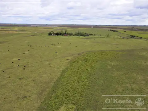 Campo en Venta - Madariaga 506 has  - Ganadero Armado.