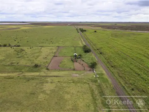 Campo en Venta - Madariaga 506 has  - Ganadero Armado.