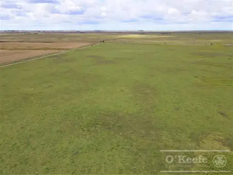 Madariaga 506 has - Campo en Venta - Ganadero Armado.