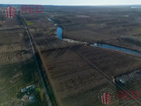 Venta en  chacra en producción General roca