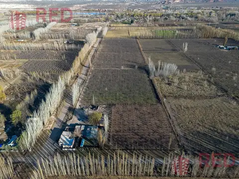 Terreno en Venta de 50000,0 m2