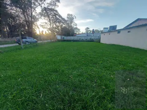 Terreno - La Trinidad