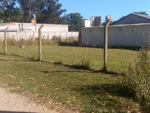 21 y 6 0