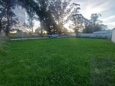 21 y 6 0