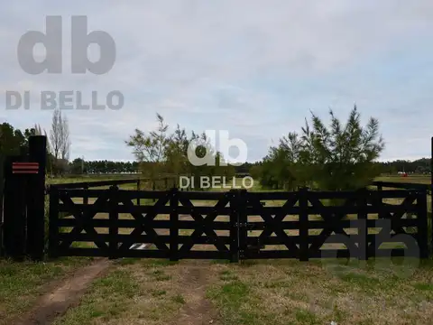 Chacra en Estancia Benquerencia