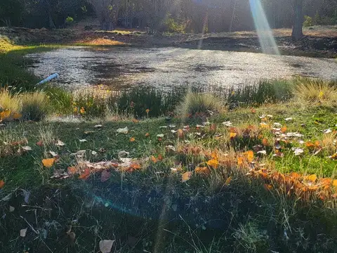 Campo en Venta de 5  ha