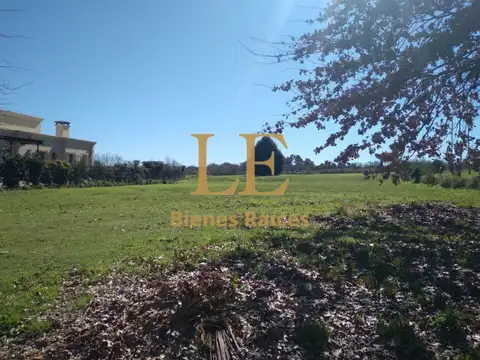 Haras Santa Maria 100