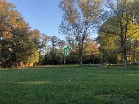 Aime Shiffellly 2000