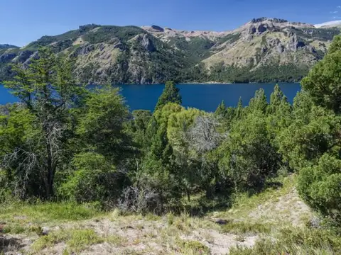 3 HECTAREAS EN MELIQUINA sobre Ruta 63 10