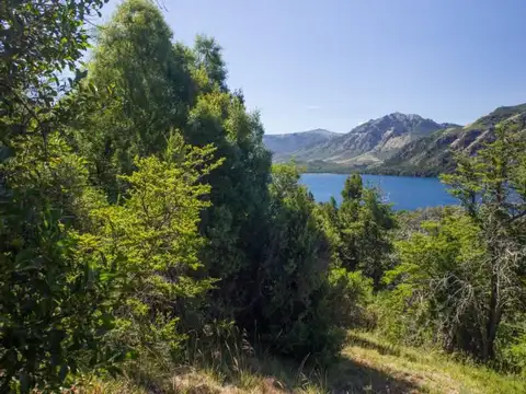 3 HECTAREAS EN MELIQUINA sobre Ruta 63