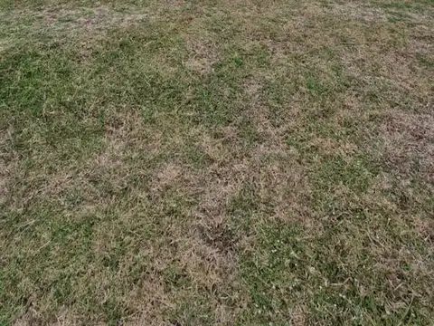 Terreno en Venta en Santa Rita, USD 35.000