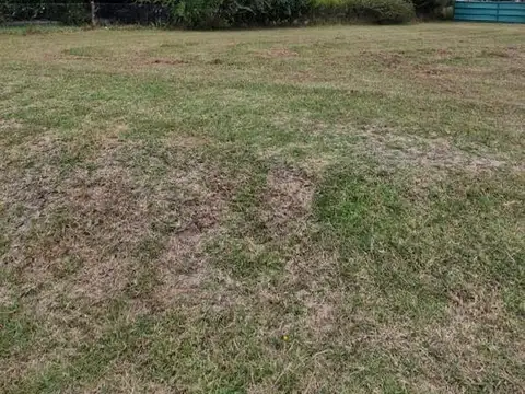 RP58, San Vicente, Provincia de Buenos Aires