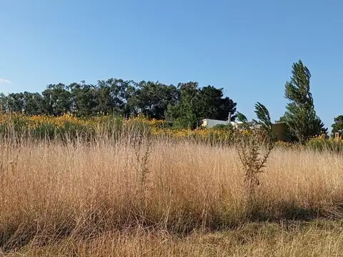 VENTA 2 LOTES. MAR DEL SUD