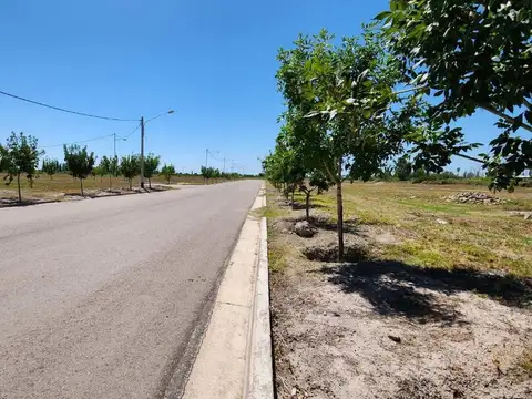 Terreno en Venta de 500,0 m2