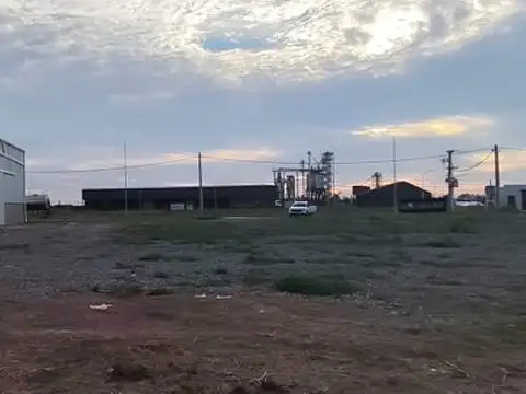 Galpon en Alquiler A Estrenar