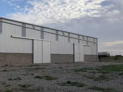 Galpon en Alquiler en General Lagos, USD 5.000