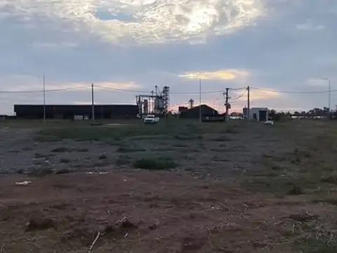 Nave Industrial 1000m2 - General Lagos