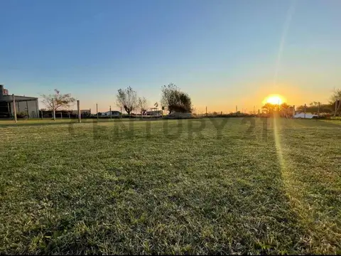 Venta de Lote en Barrio Privado Las Negras, Arrecifes, Provincia de Bs AS
