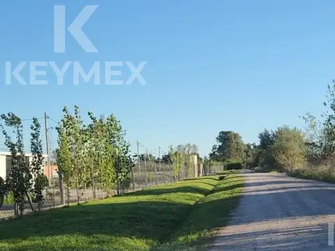 Terreno en Venta 12  mts Frente