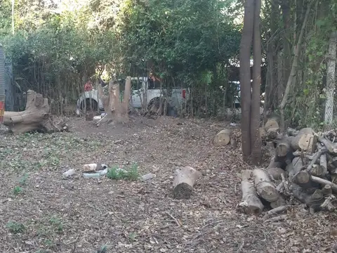 Terreno en Alquiler de 800,0 m2