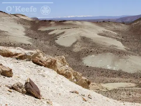 9000 has. Campo en venta en Esquel Patagonia - Ideal Turismo