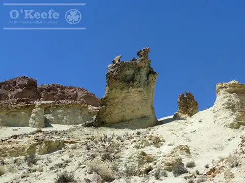 9000 has. Campo en venta en Esquel Patagonia - Ideal Turismo