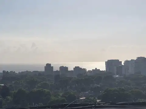 Monoambiente dividido con vista abierta al Rio y terraza