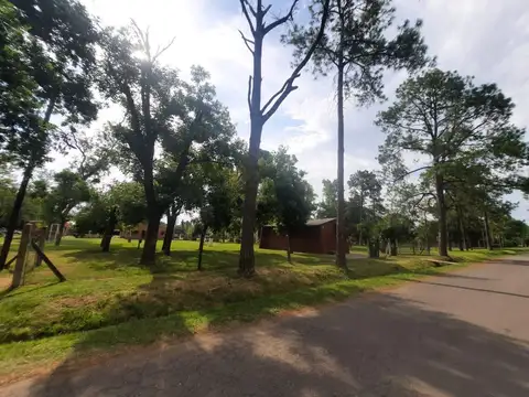 Osvaldo Pugliese y Fresedo